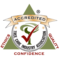 TCIA Accreditation