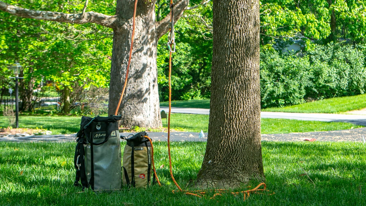 Arborist Equipment Gear Prep to Climb