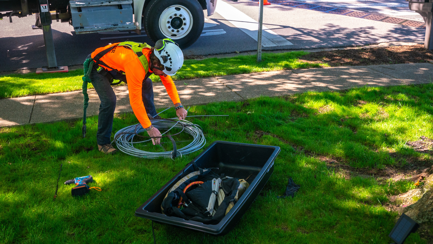 Tree crew cabling and bracing trees working on ground 