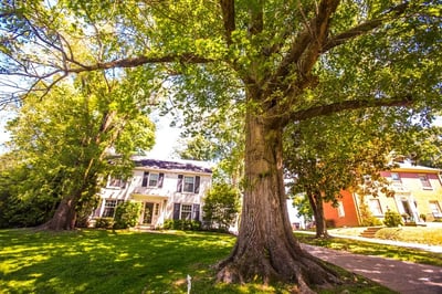front of house with green lawn 