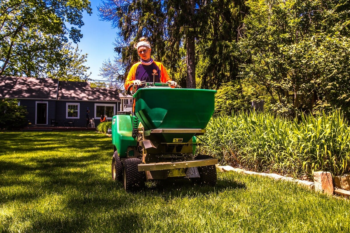 lawn care applying fertilizer