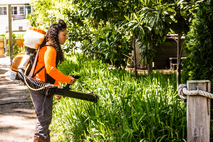 outdoor pest control