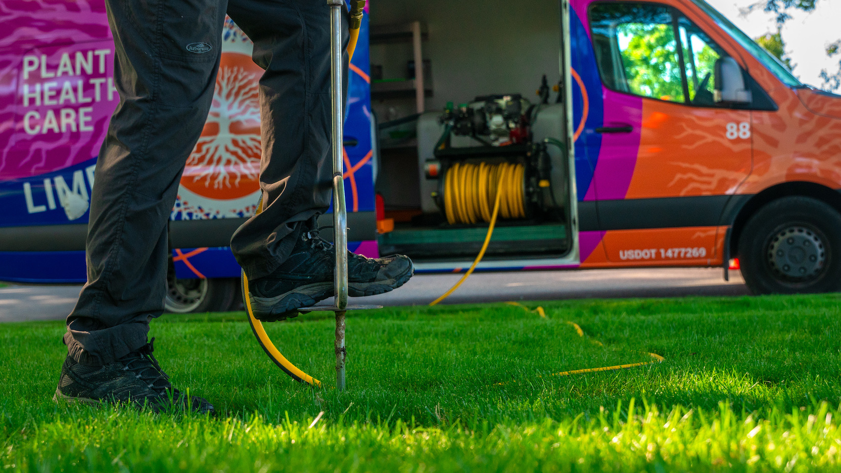 technician fertilizing tree roots