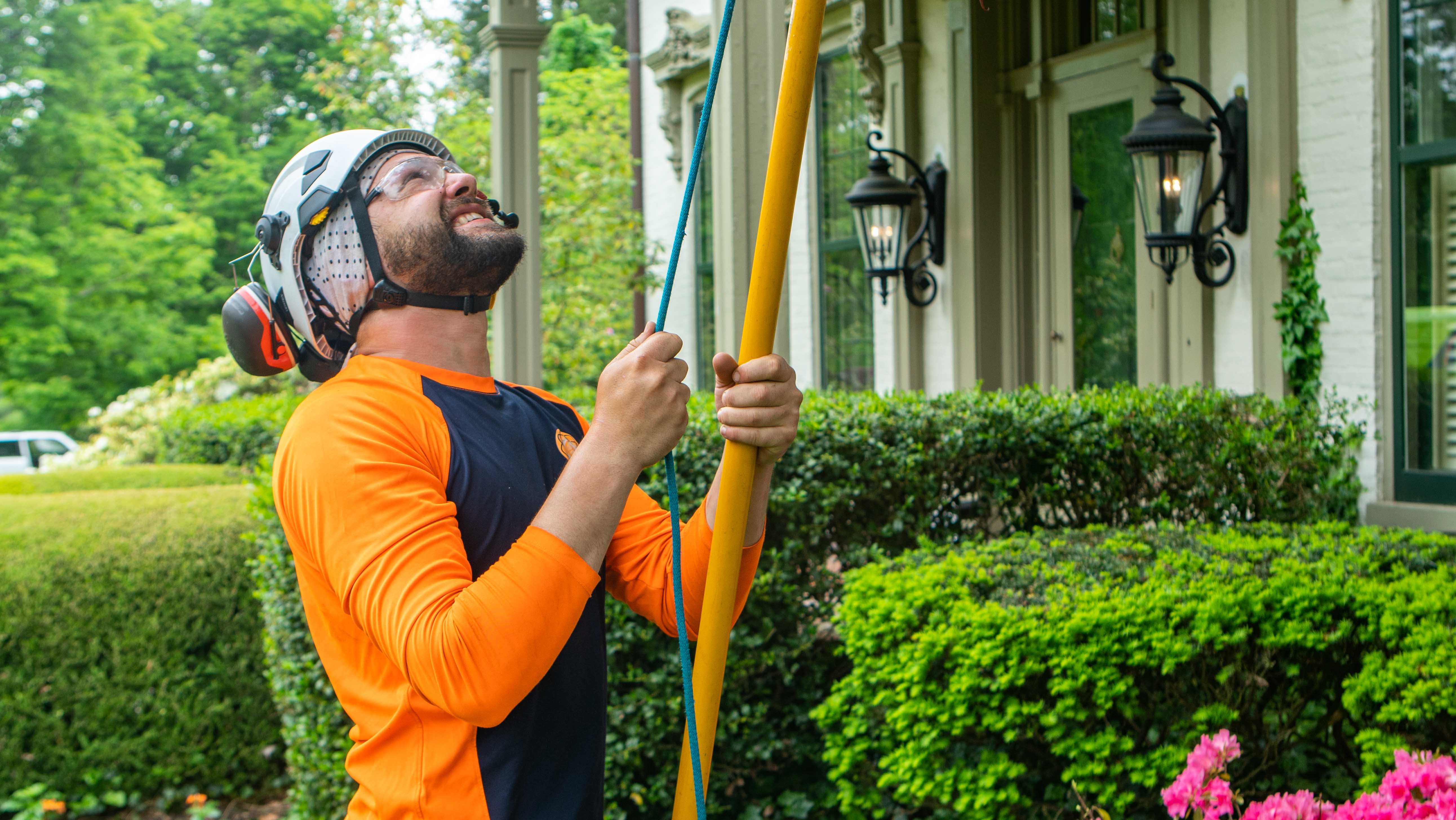 The Ultimate Guide to Pruning Trees and Shrubs in Kentucky