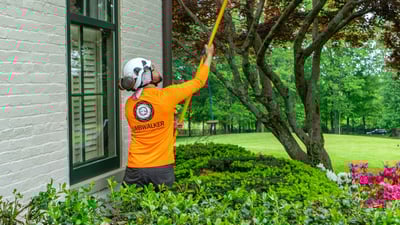 crew tree pruning