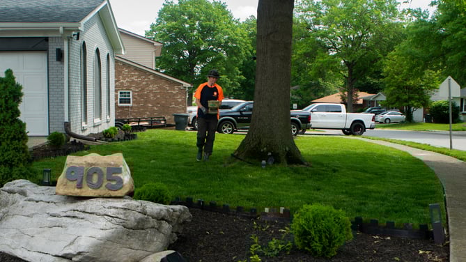 crew green lawn treatment 