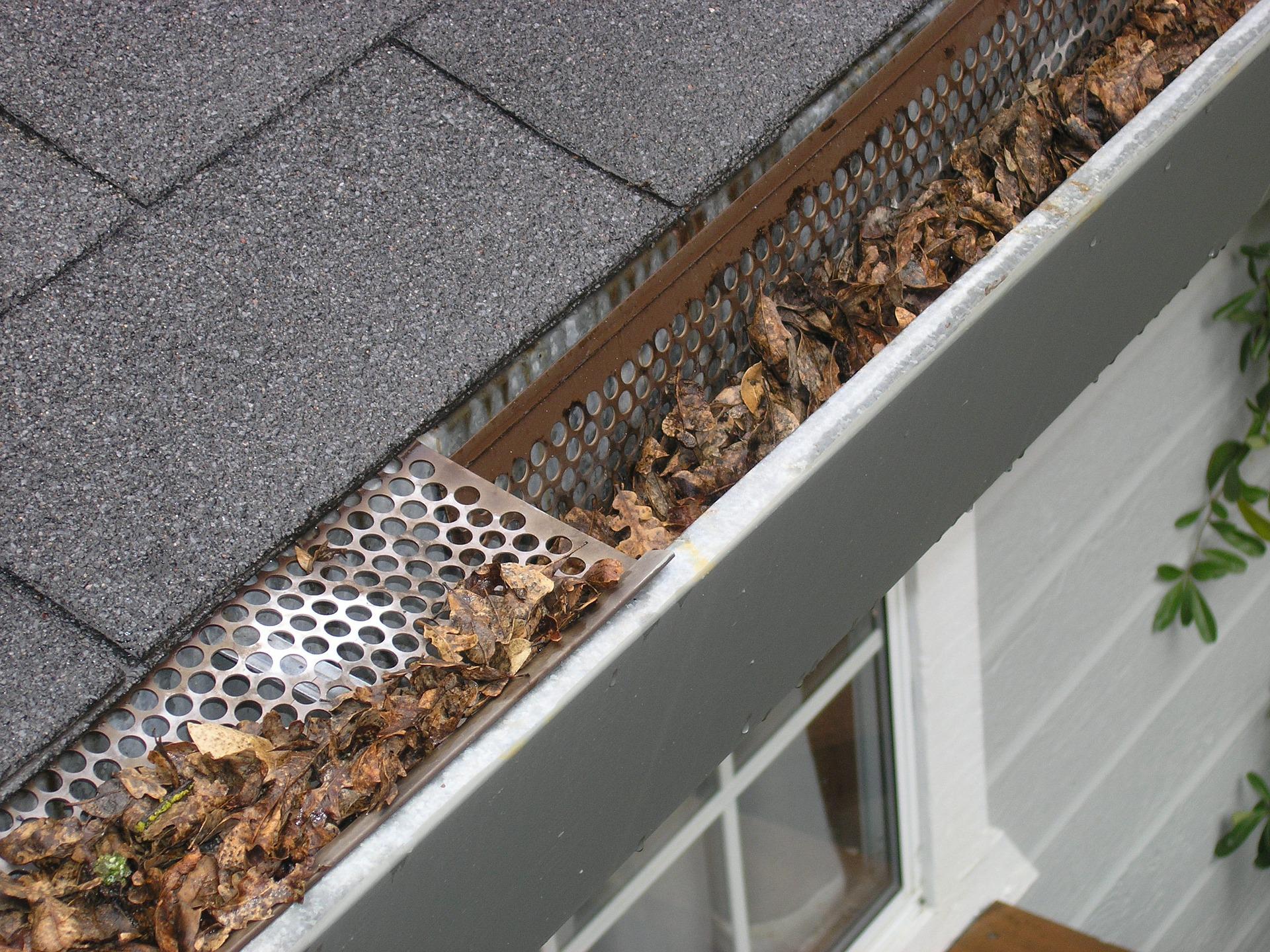 dirty gutters on house attracting mosquitoes