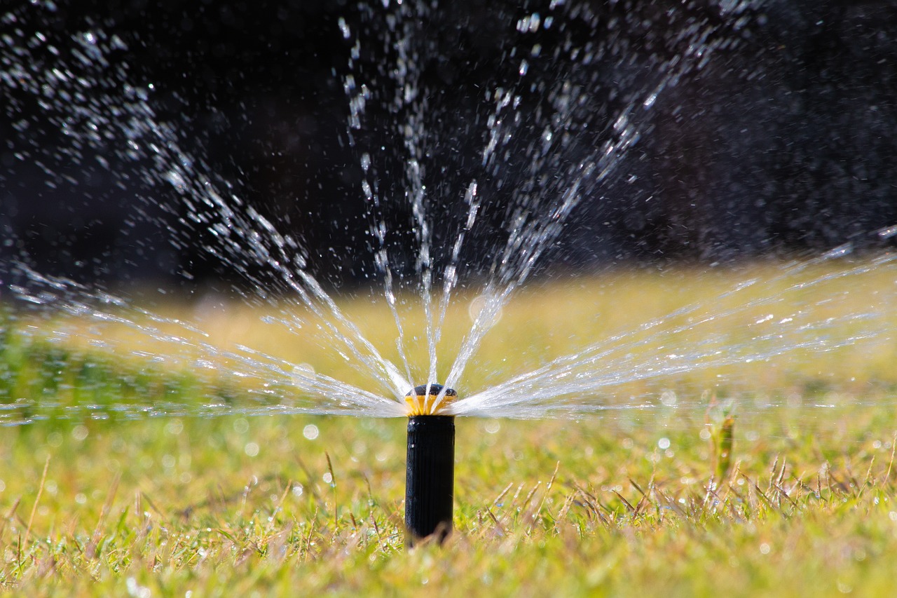 watering lawn with sprinkler system 