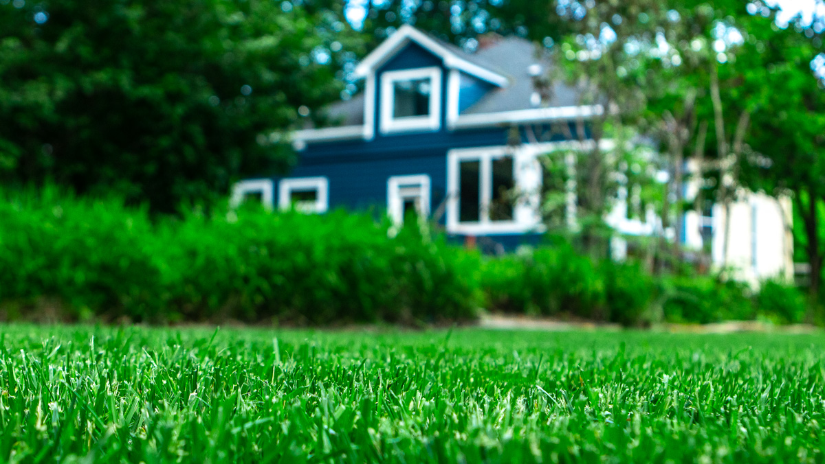close up of lawn in front of house