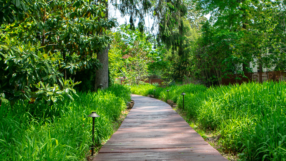 Wooden Path Ornamental Grasses