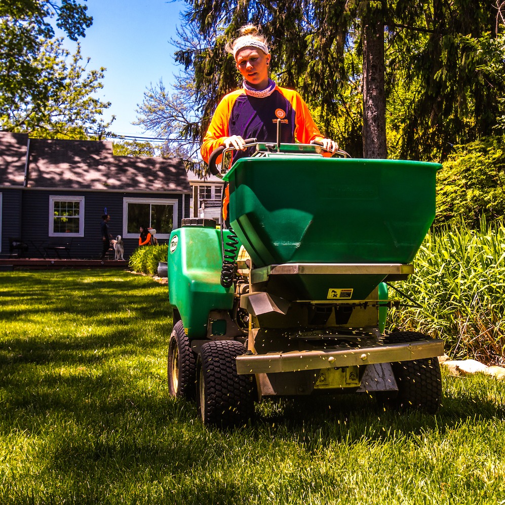 lawn care