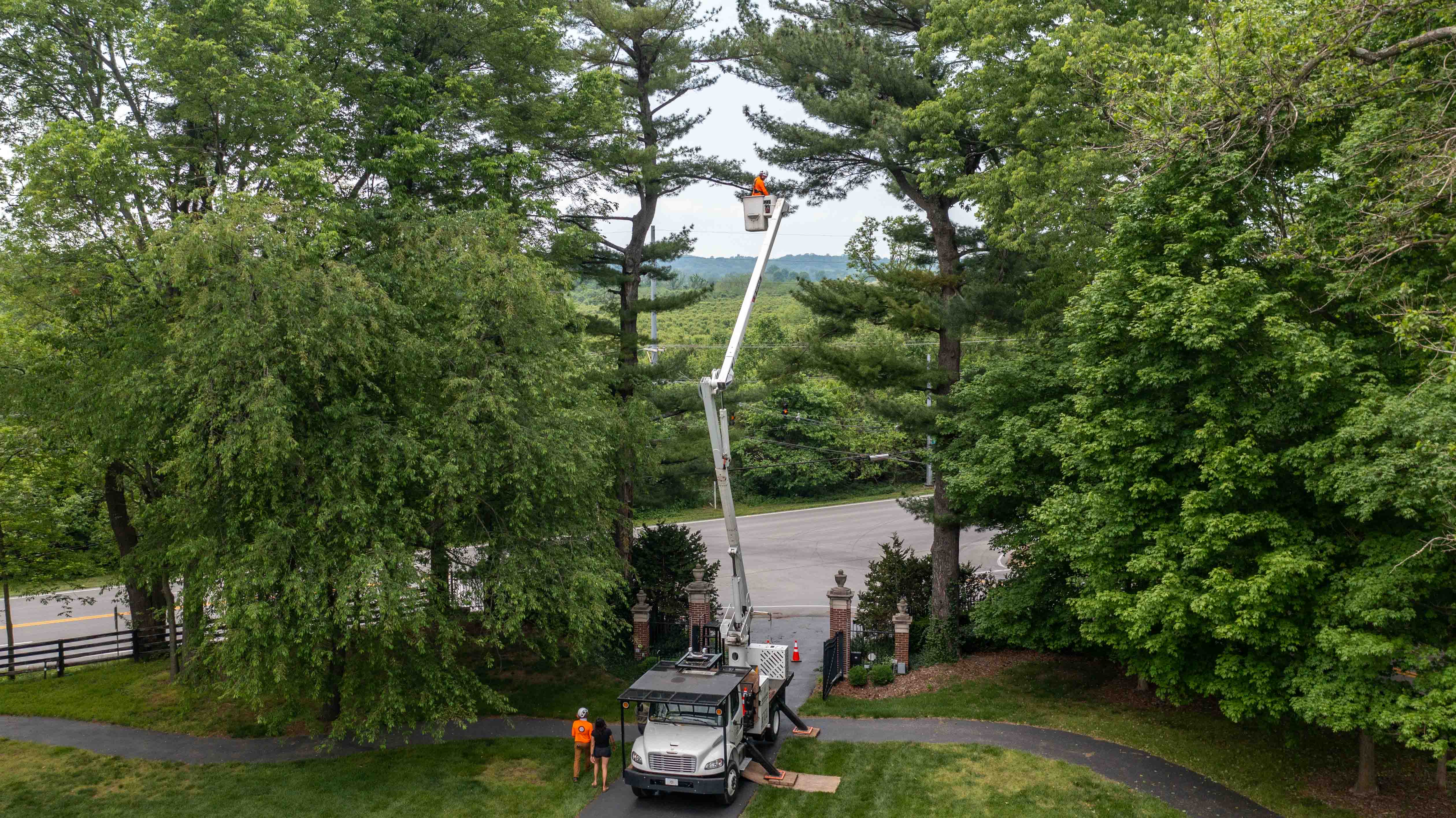 crew in bucket by tree