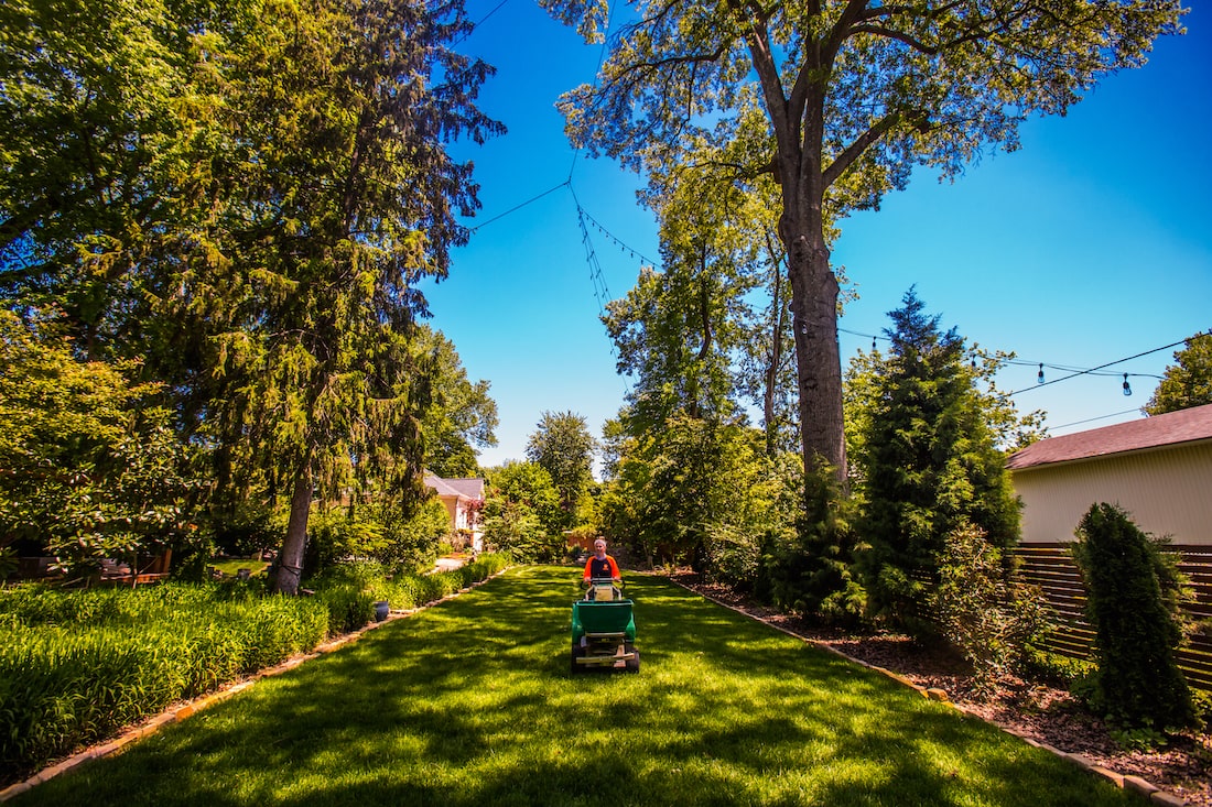 Shaded lawn with trees